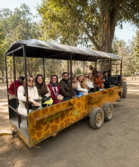 03 parque safari